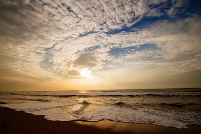 2025년 최신 경제 트렌드가 보험 선택에 미치는 영향 분석