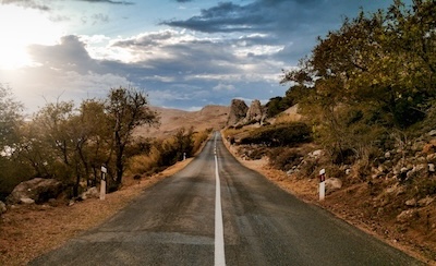 금리 변동 시대, 보험 상품은 경제 상황에 어떻게 반응할까?